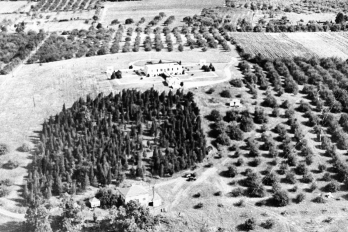 Historical Aerial Photo